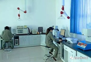 聚酯公司荣获自治区绿色工厂称号 科技驱动绿色可持续发展之路